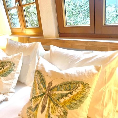 Ferienwohnung Diana Sexau Экстерьер фото