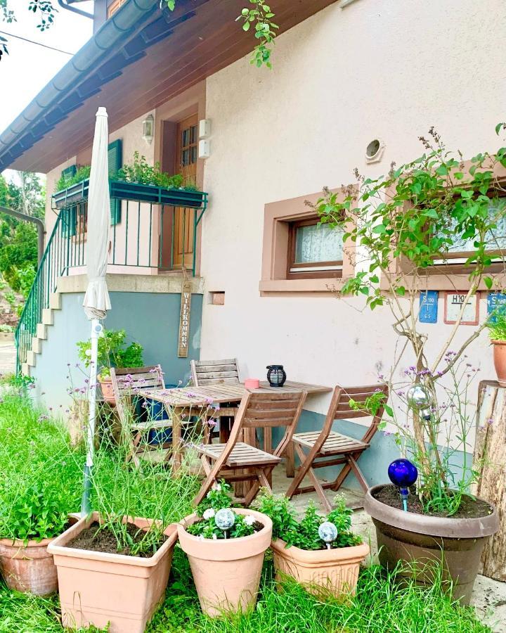Ferienwohnung Diana Sexau Экстерьер фото
